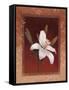 Tiger Lily-Vivien Rhyan-Framed Stretched Canvas