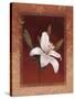 Tiger Lily-Vivien Rhyan-Stretched Canvas