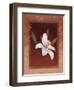 Tiger Lily-Vivien Rhyan-Framed Art Print