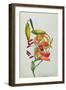 Tiger Lily-Mrs Frederick Hill-Framed Giclee Print