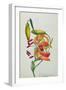 Tiger Lily-Mrs Frederick Hill-Framed Giclee Print