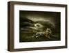 Tiger Looking And Sitting Under Dramatic Sky With Clouds-yuran-78-Framed Premium Photographic Print