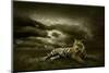 Tiger Looking And Sitting Under Dramatic Sky With Clouds-yuran-78-Mounted Premium Photographic Print