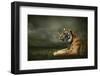 Tiger Looking And Sitting Under Dramatic Sky With Clouds-yuran-78-Framed Photographic Print