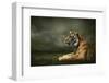 Tiger Looking And Sitting Under Dramatic Sky With Clouds-yuran-78-Framed Photographic Print