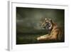 Tiger Looking And Sitting Under Dramatic Sky With Clouds-yuran-78-Framed Photographic Print