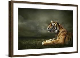 Tiger Looking And Sitting Under Dramatic Sky With Clouds-yuran-78-Framed Photographic Print