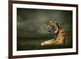 Tiger Looking And Sitting Under Dramatic Sky With Clouds-yuran-78-Framed Photographic Print