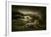 Tiger Looking And Sitting Under Dramatic Sky With Clouds-yuran-78-Framed Photographic Print