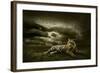 Tiger Looking And Sitting Under Dramatic Sky With Clouds-yuran-78-Framed Photographic Print