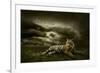 Tiger Looking And Sitting Under Dramatic Sky With Clouds-yuran-78-Framed Photographic Print