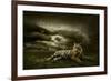 Tiger Looking And Sitting Under Dramatic Sky With Clouds-yuran-78-Framed Photographic Print