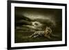 Tiger Looking And Sitting Under Dramatic Sky With Clouds-yuran-78-Framed Photographic Print