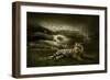 Tiger Looking And Sitting Under Dramatic Sky With Clouds-yuran-78-Framed Photographic Print