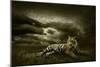 Tiger Looking And Sitting Under Dramatic Sky With Clouds-yuran-78-Mounted Photographic Print