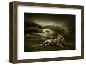Tiger Looking And Sitting Under Dramatic Sky With Clouds-yuran-78-Framed Photographic Print
