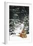 Tiger Lying in Snow During Snow Storm in Spruce Forest (Captive Animal)-Lynn M^ Stone-Framed Photographic Print