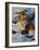 Tiger Lying in the Snow Full Bleed-Martin Fowkes-Framed Giclee Print