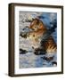 Tiger Lying in the Snow Full Bleed-Martin Fowkes-Framed Giclee Print