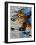 Tiger Lying in the Snow Full Bleed-Martin Fowkes-Framed Giclee Print