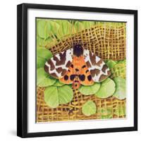 Tiger Moth, 1999-E.B. Watts-Framed Premium Giclee Print