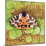 Tiger Moth, 1999-E.B. Watts-Mounted Premium Giclee Print