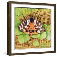 Tiger Moth, 1999-E.B. Watts-Framed Giclee Print