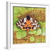 Tiger Moth, 1999-E.B. Watts-Framed Giclee Print