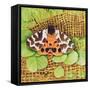 Tiger Moth, 1999-E.B. Watts-Framed Stretched Canvas