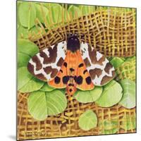 Tiger Moth, 1999-E.B. Watts-Mounted Giclee Print