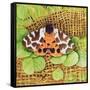 Tiger Moth, 1999-E.B. Watts-Framed Stretched Canvas