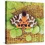 Tiger Moth, 1999-E.B. Watts-Stretched Canvas