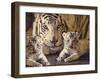 Tiger Mother & Baby-sylvia pimental-Framed Art Print