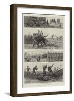 Tiger-Netting in Bengal-null-Framed Giclee Print