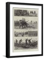 Tiger-Netting in Bengal-null-Framed Giclee Print