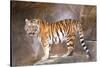 Tiger on Ledge-Lantern Press-Stretched Canvas