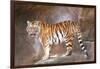 Tiger on Ledge-Lantern Press-Framed Art Print