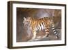 Tiger on Ledge-Lantern Press-Framed Art Print