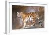 Tiger on Ledge-Lantern Press-Framed Art Print