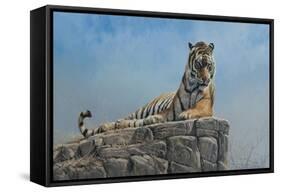 Tiger on Rock-Michael Jackson-Framed Stretched Canvas