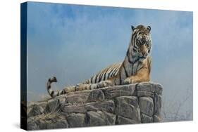 Tiger on Rock-Michael Jackson-Stretched Canvas