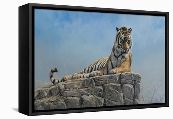 Tiger on Rock-Michael Jackson-Framed Stretched Canvas