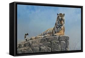 Tiger on Rock-Michael Jackson-Framed Stretched Canvas