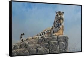Tiger on Rock-Michael Jackson-Framed Stretched Canvas