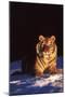 Tiger on Snow Just before Sunset (Captive Animal)-Lynn M^ Stone-Mounted Photographic Print