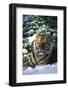 Tiger on Snow with Spruce Trees in Background (Captive Animal)-Lynn M^ Stone-Framed Photographic Print