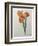 Tiger or Shell Flower-Pierre-Joseph Redoute-Framed Art Print