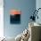 Tiger Orange and Blue Abstract Study-Emma Moore-Stretched Canvas displayed on a wall