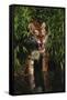 Tiger (Panthera Tigris)-Lynn M^ Stone-Framed Stretched Canvas