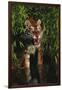 Tiger (Panthera Tigris)-Lynn M^ Stone-Framed Photographic Print